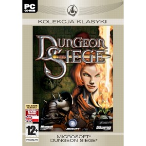 Dungeon Siege PL